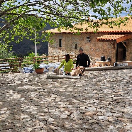 Refugio Dos Cartolas Сан-Мамеде-де-Инфешта Экстерьер фото